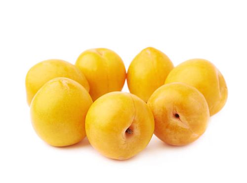 PRUNE TC SUN