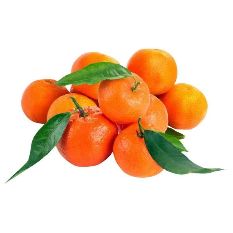 CLÉMENTINE BIO
