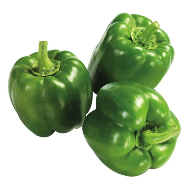 POIVRON VERT
