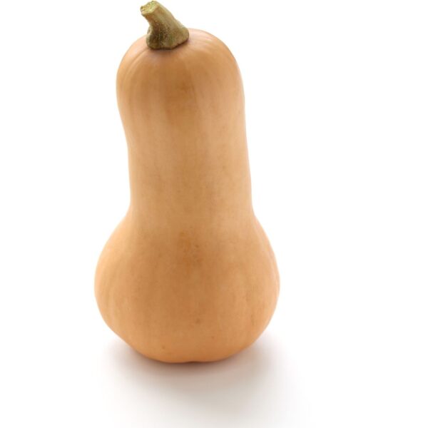 BUTTERNUT (à l'Unité)