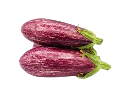 AUBERGINE STRIÉE