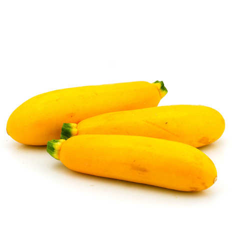 COURGETTE JAUNE