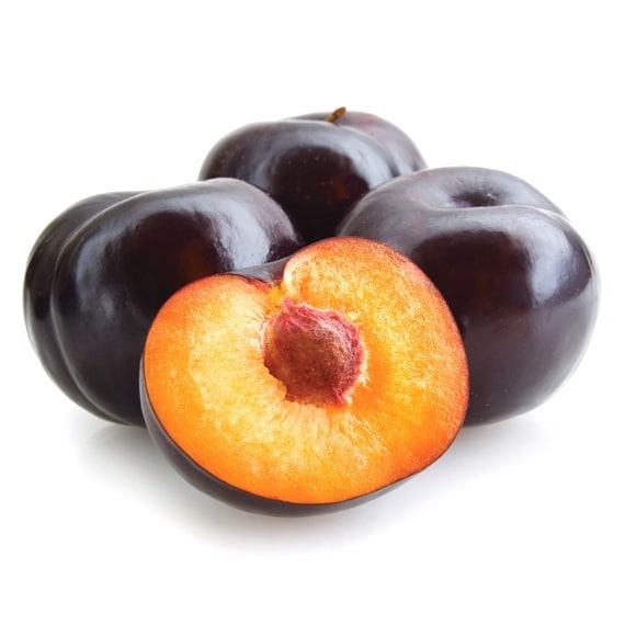 PRUNE TC SUN