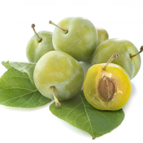 PRUNE REINE CLAUDE