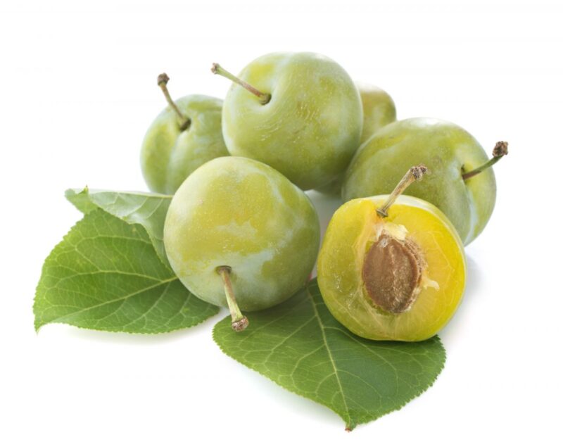 PRUNE REINE CLAUDE