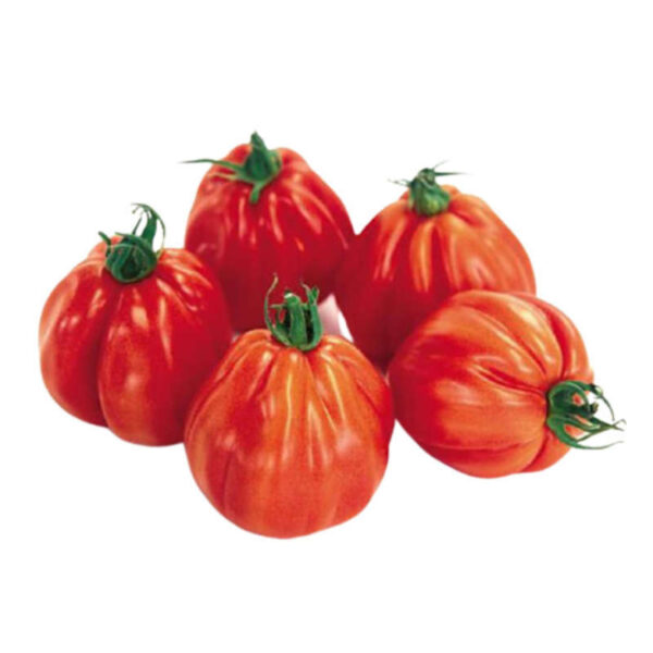 TOMATE CÔTELÉES