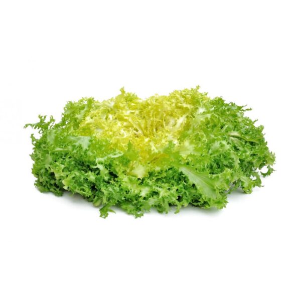 SALADE FRISÉE (à l'Unité)