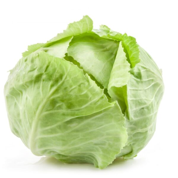CHOU LISSE VERT (à l’Unité)