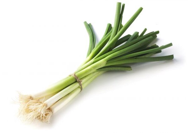 BOTTE DE CÉBETTE (à l'Unité)