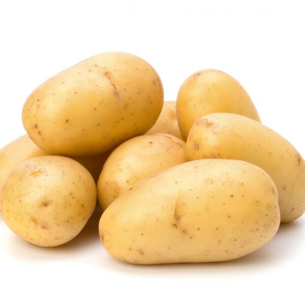 POMME DE TERRE NOUVELLE