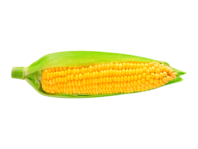 ÉPIS DE MAÏS (à l’Unité)