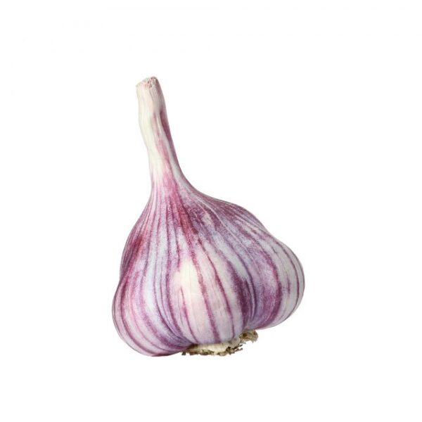 TÊTE D'AIL FRAIS (à l'Unité)